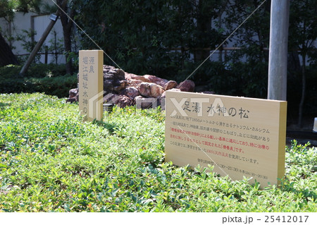 静岡県、舘山寺温泉、源泉、堀江城址、水神の湯、足湯、水神の松 静岡県、舘山寺温泉、源泉、堀江城址、水神の湯、足湯、水神の松 25412017