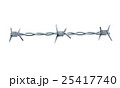 Barbed Wire 25417740