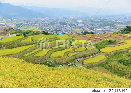 秋の棚田 秋の棚田 25418445