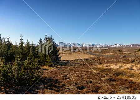 Landscape on Iceland 25418905