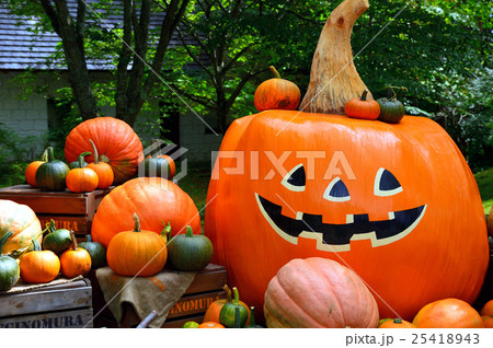 萌木の村 ハロウィン 萌木の村 ハロウィン 25418943