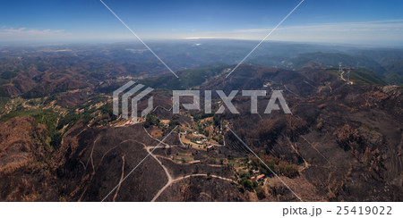 Burned forest Monchique. View from the sky. 25419022