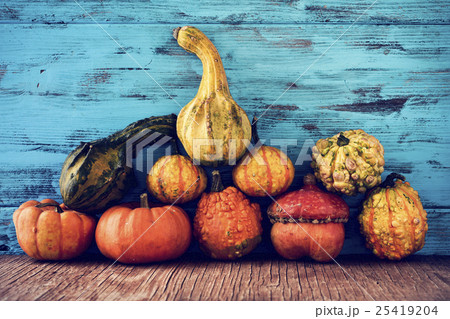assortment of different pumpkins assortment of different pumpkins 25419204