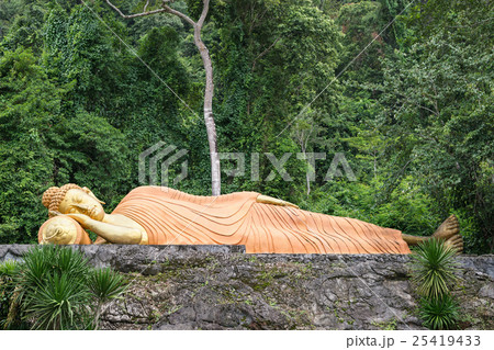 Reclining Golden Buddha 25419433