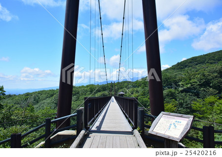 那須塩原市　つつじ吊橋 25420216