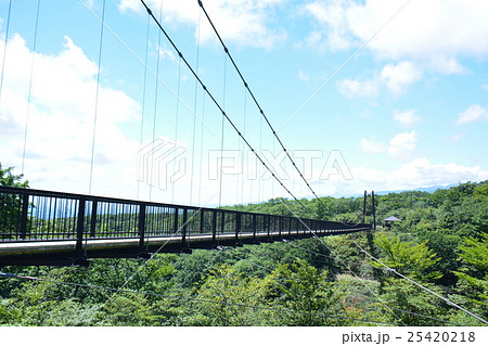 那須塩原市 つつじ吊橋の写真素材