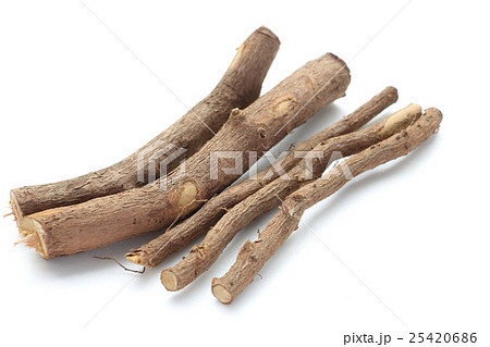 ニッケイ ニッケイ 25420686