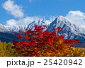 夕焼けに染まる八ヶ岳 25420942