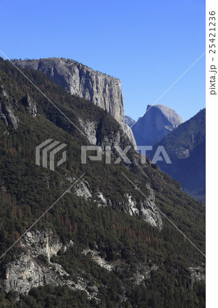エル・キャピタンとハーフ・ドーム エル・キャピタンとハーフ・ドーム 25421236
