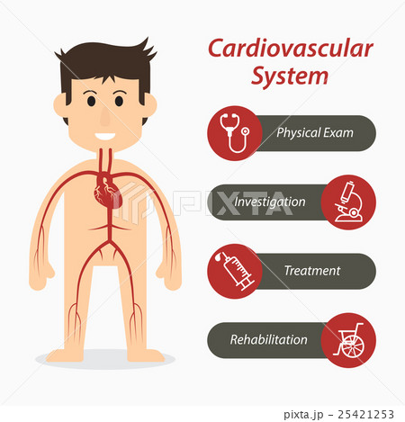 Cardiovascular system and medical line icon 25421253