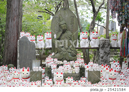 豪徳寺 招福猫児の写真素材