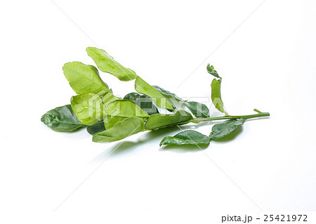Lemon lime leaf bunch 25421972