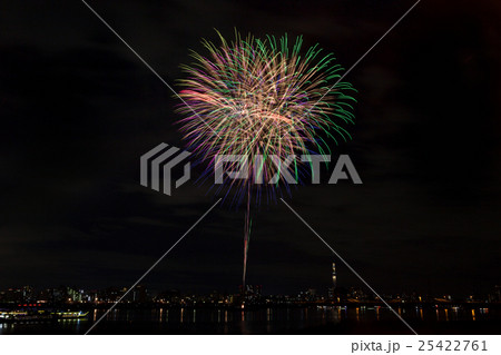 花火 25422761