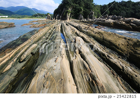 高知県土佐清水市 竜串海岸 サンドパイプ 高知県土佐清水市 竜串海岸 サンドパイプ 25422815