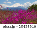 富士山とミツバツツジ 25426919