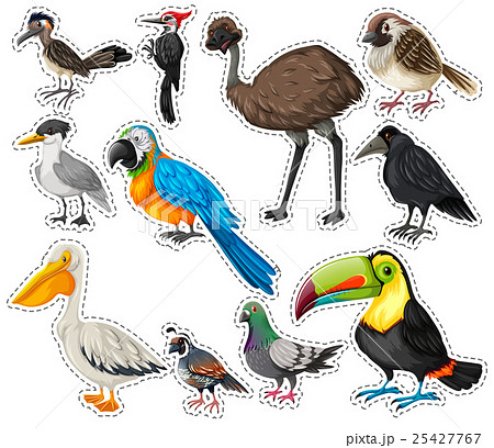 Sticker set with many birds 25427767