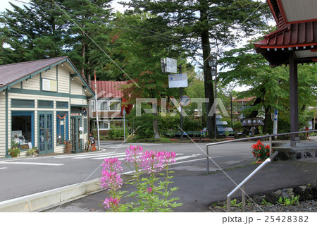 北軽井沢 北軽井沢 25428382