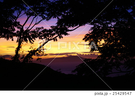 朝焼け 朝焼け 25429547