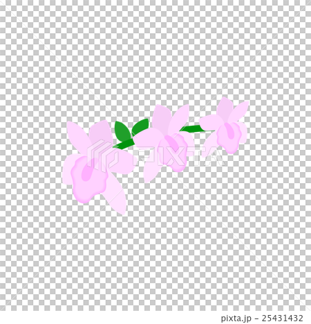 Pink orchid icon, isometric 3d style 25431432