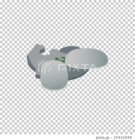 Esplanade in Singapore icon, isometric 3d style 25432049