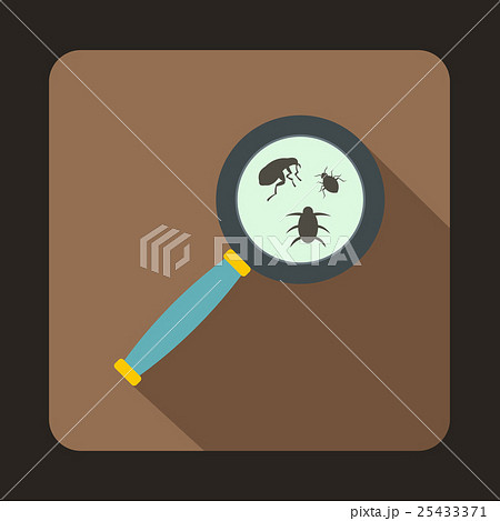 Magnifier and insects icon, flat style 25433371