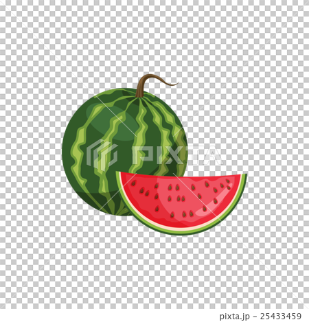 Watermelon icon, cartoon style 25433459