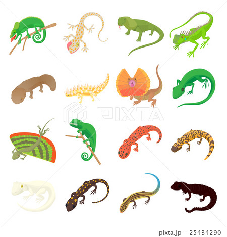 Lizard Icons Set Cartoon Styleのイラスト素材