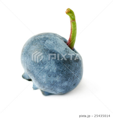 Single berry of Bilberry or blueberry over 25435014