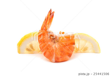 boiled shrimp 25441506