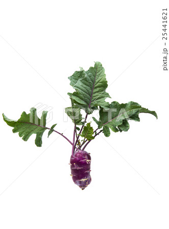 Cabbage kohlrabi 25441621