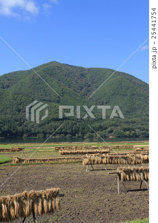 木崎湖の秋 25441754