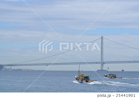 明石大橋の見える風景　明石漁港の防波堤より 25441901