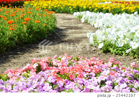花畑 25442107