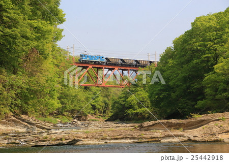 秩父鉄道の貨物列車と新緑 25442918