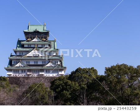 冬 大阪城 冬 大阪城 25443259