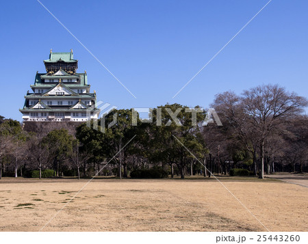 冬　大阪城 25443260