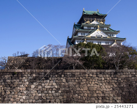 冬 大阪城 冬 大阪城 25443271