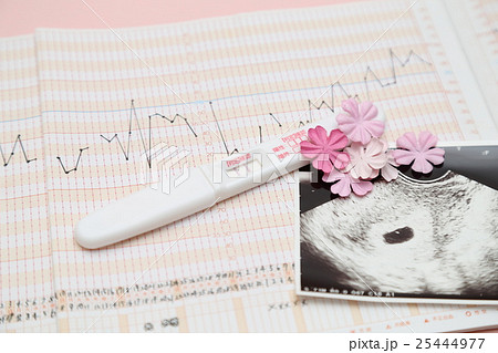 エコー写真と妊娠検査薬 25444977