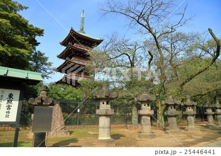 上野東照宮の五重塔 25446441