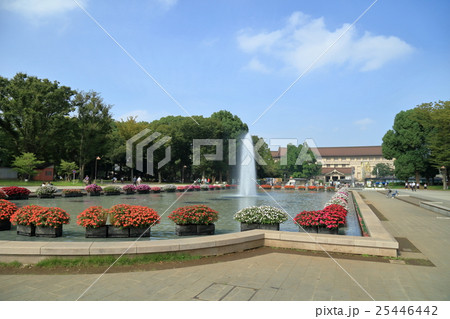 上野恩賜公園の噴水 25446442
