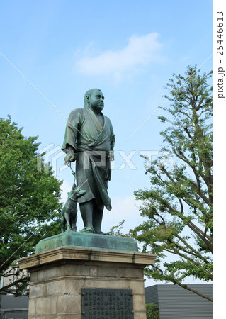上野公園・西郷隆盛の銅像 25446613