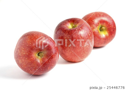 リンゴ(千秋) リンゴ(千秋) 25446776