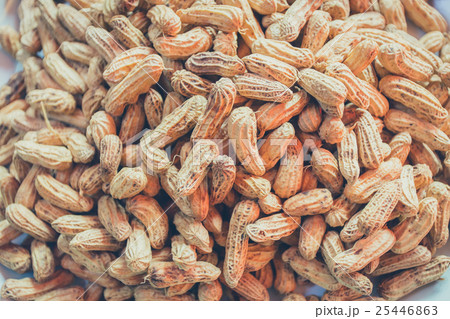 Monkey nut Monkey nut 25446863