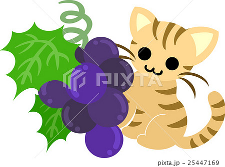 可愛い猫と葡萄のイラスト素材