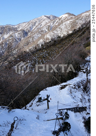 政次郎ノ頭より雪の塔ノ岳を望む 25447636