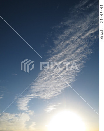 大空に浮かぶ翼 大空に浮かぶ翼 25448445