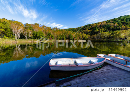 紅葉 志賀高原 木戸池 紅葉 志賀高原 木戸池 25449992
