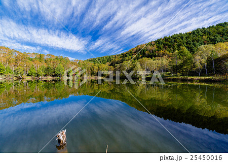 紅葉　志賀高原　木戸池 25450016