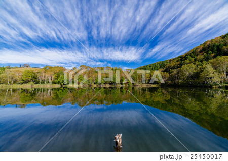 紅葉 志賀高原 木戸池 紅葉 志賀高原 木戸池 25450017