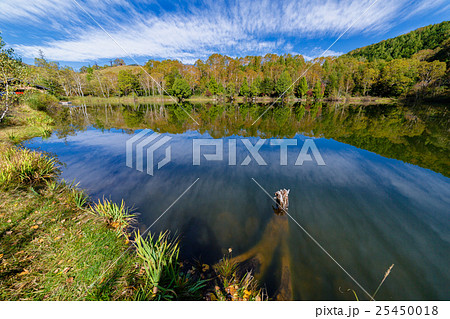 紅葉　志賀高原　木戸池 25450018